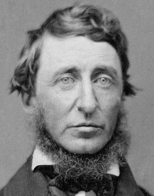 Henry D. Thoreau